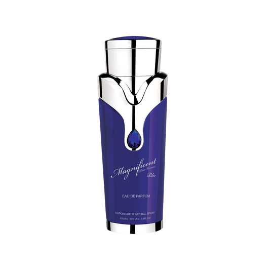 ARMAF MAGNIFICIENT BLUE MEN 3.4 OZ. EDP SP